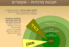 תובנות מרכזיות מאפיון אתר הארגון